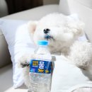 잘 팔리는 제품 사진 촬영 이미지