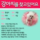 영락고등학교 이미지