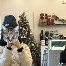 티엔에프(TNF) 이미지