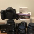 Canon dslr 80d + lenses (Sigma 18-35mm f1.8, Canon 50mm f1.8 stm, Tamron 28-300mm) $1600 이미지