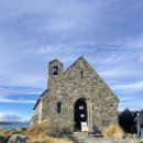 【뉴질랜드 워킹홀리데이】 지극히 주관적인 후기 <Lake Tekapo>