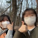 모지스테이