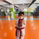 정도 K타이거즈 태권도 이미지