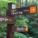 함안 명관리 공룡발자국 이미지