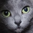 윤쌤동물병원 이미지