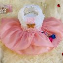 데이지꼼 이미지