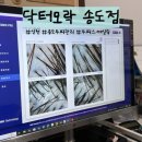 닥터모락 송도점 | 송도두피관리 잘하는곳 닥터모락 송도점 두피스케일링 후기
