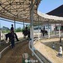 홍성군승마장 이미지