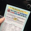 제주로렌트카 | [제주] 제주로렌트카 이용 후기, 생각보다 간단했던 인수 과정