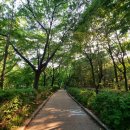 옴뿌리산 근린공원 | 서울 도심 속의 파리, 몽마르뜨 공원에 가다.