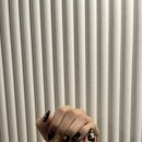 데이무드 이미지