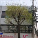 연세감동치과의원 이미지