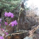 바위회관 이미지