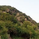 생태다리 이미지