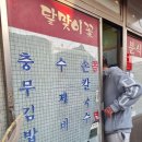달맞이꽃 분식 이미지