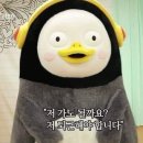 루리네 이미지