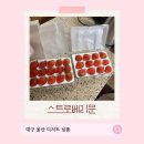 대구 카페 여름 딸기 공급 스트로베리문, 여름에도 신선한 딸기를 만나다