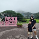 청우 태권도장 서울본관 | 청와대 관람 후기 (점심은 소선재)