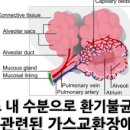 널스언니