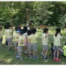 성주중앙초교병설유치원 이미지