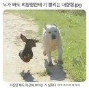 롤리펍 | 서울 투어 2탄