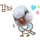 산막공단북11길 이미지