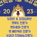 애견학당펫푸드전문학원 이미지