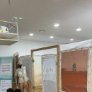 나무 | 이영란의 감성체험: 가루나무모래흙 후기(부산)