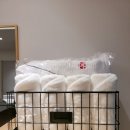 호텔홍단 이미지