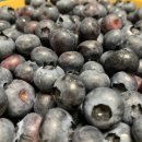 상기농장 이미지