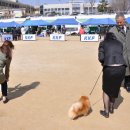 이천공설운동장 이미지