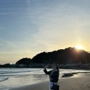 유이애견샵 | 일본_도쿄, 가마쿠라, 에노시마] 4박5일 여행 3일차(2)_가마쿠라 해변, Daisy's Cafe 카페오레...