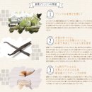 아이스크림왕국샤인점 | 푸딩 倉敷プリン 오리지널 나메라카 맛 솔직후기 (주말 웨이팅, 키비 푸딩 추천 이유) feat. 구라시키...