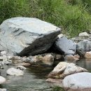 밀양표충오토캠핑장 이미지