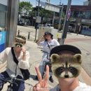 장원떡집 - 영등포구 대림로22길 44 | 세계문화유산의 도시, 부여/공주 (맛집)탐방기 1탄