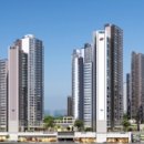 이연우행정사사무소 이미지