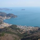 망골농장 Daum카페