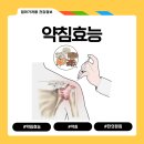 융한의원 | 약침효능 총정리! 봉침부터 한의원침까지 체험 후기