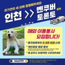 홀리/인천＞벤쿠버or토론토/날짜.시간협의 이미지