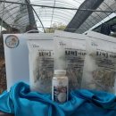 이상구표고농장 이미지