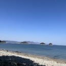 수산한우농장 이미지