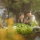 밝은법률사무소 - 서초구 서초대로 275 | 밝은법률사무소