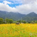 구례 이미지