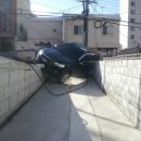 둘리카센타 이미지