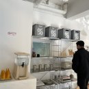 비니센트