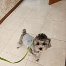 수성작은도서관 이미지