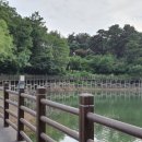 고모리691 이미지