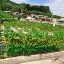 영주땅공인중개사사무소 이미지