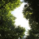 용산-이촌-183 이미지