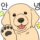 별보리스테이 이미지